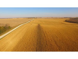 Property photo 13 - LAND AUCTION - 664+/- ACRES OFFERED IN 17 TRACTS IN CASS CO., NEBRASKA